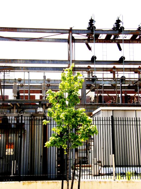 Metcalf Substation attack