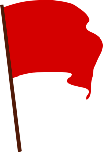 Electric Industry red flags