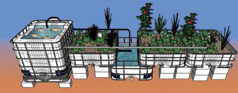 Free Aquaponics Book